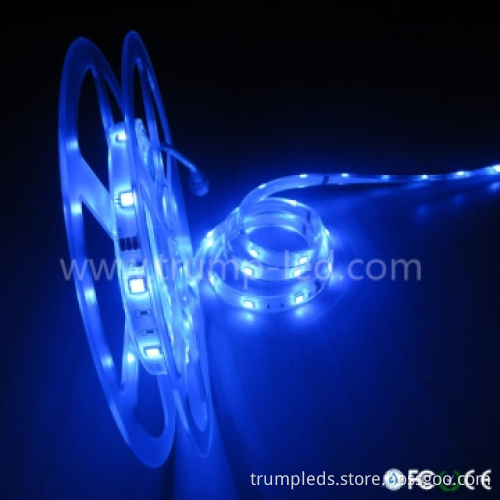 Special for Sea 5050 LED RGB Strip Remote Control